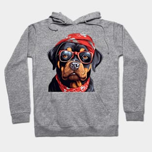 Fancy Rottweiler Dog Hoodie